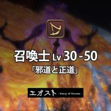 STORY | 3.ジョブ・ロール-召喚士レベル30-50【邪道と正道】