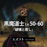 STORY | 3.ジョブ・ロール-512黒魔道士レベル50-60【破壊と癒し】